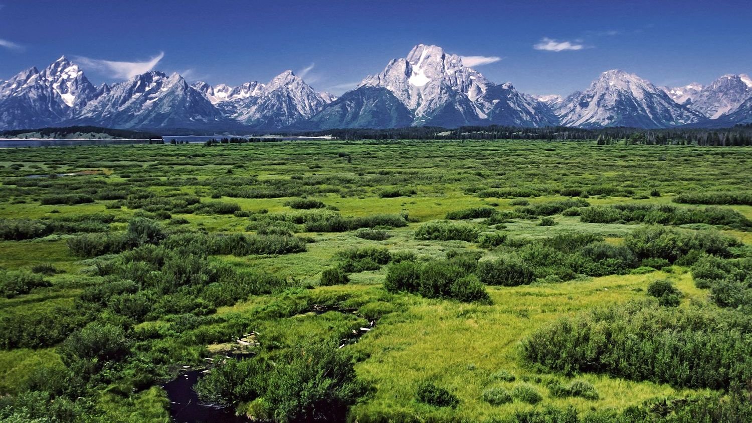 The Earth Breathes With Us: How Geological Cycles Mirror Our Own