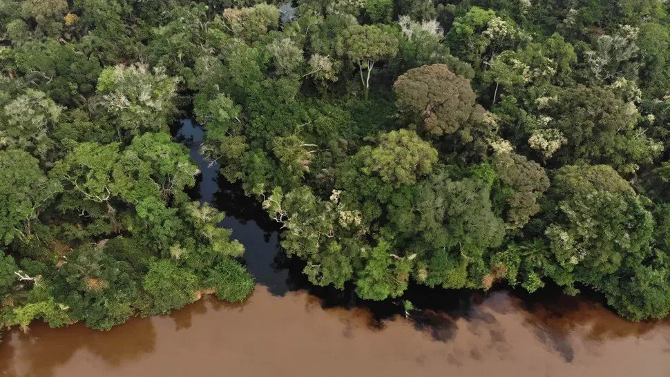 Ancient Carbon Is Escaping Congo's Blackwater Rivers and Scientists Are Alarmed