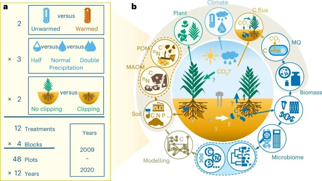 The Tiny Creatures Beneath Our Feet Could Determine Earth's Future Climate
