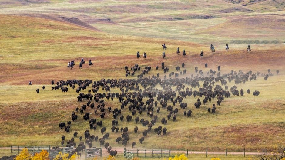 The Phenomenon of Animal Migration: Why Millions Journey Across Continents