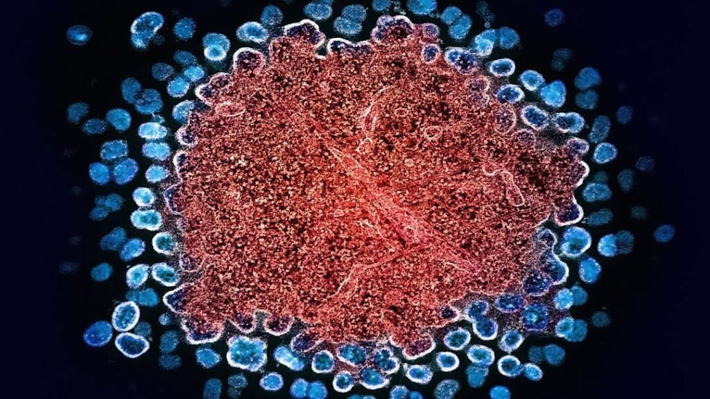 Your Body Can Heal Itself: The Remarkable Science of Regeneration