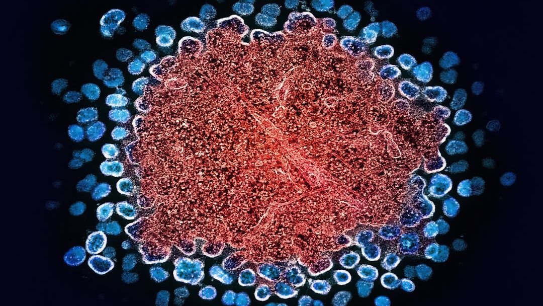 Your Body Can Heal Itself: The Remarkable Science of Regeneration