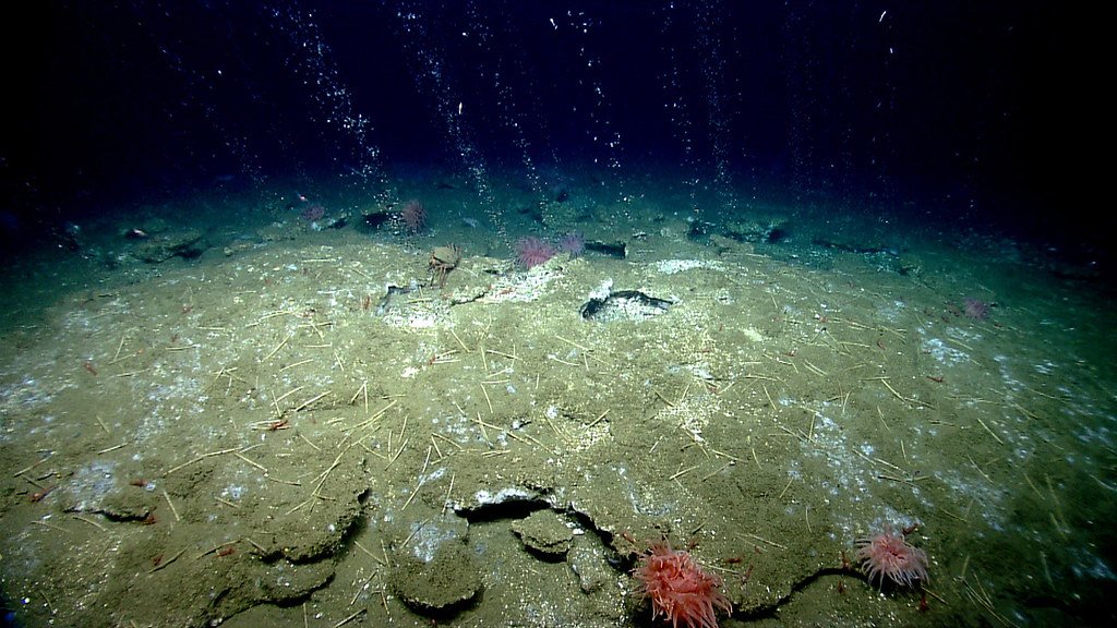 The Deep Ocean Holds Secrets That Could Change Everything We Know