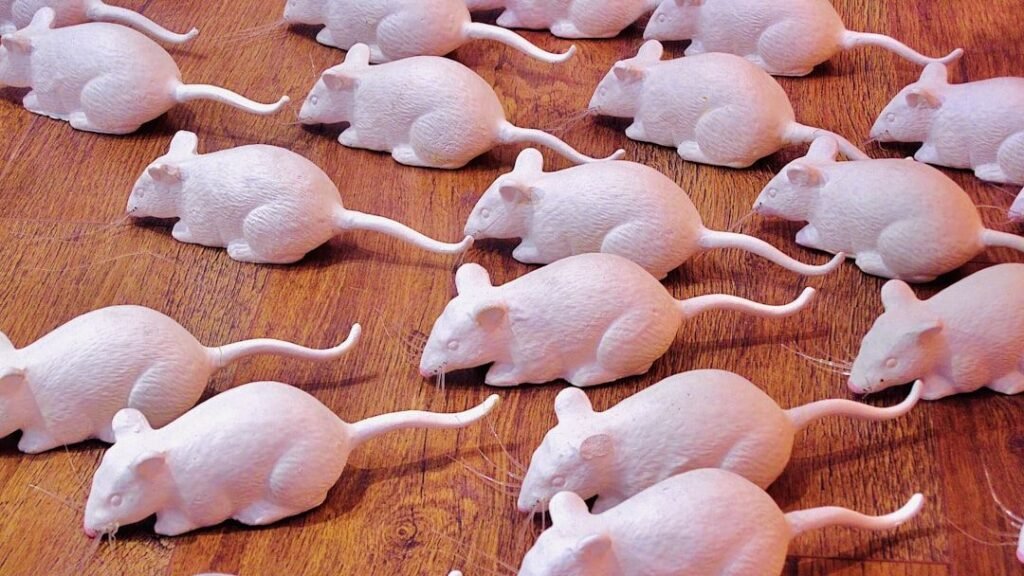 Scientists Crack the Code on Endless Mouse Cloning Using a Simple Lab Trick