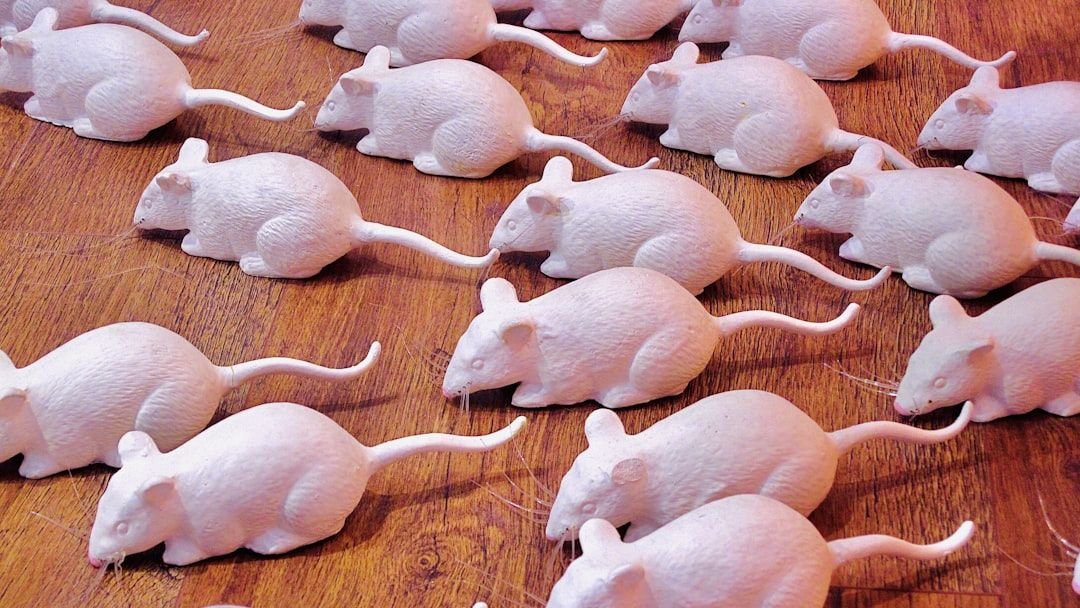 Endless Cloning Myth Challenged as Mouse Line Fails at Generation 58