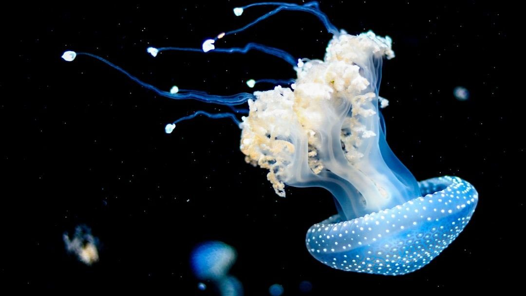 10 Fascinating Facts About the Deep Sea You Never Knew