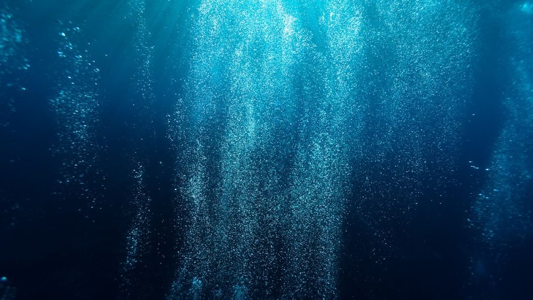 7 Hidden Worlds Deep Inside Our Oceans Scientists Are Just Discovering
