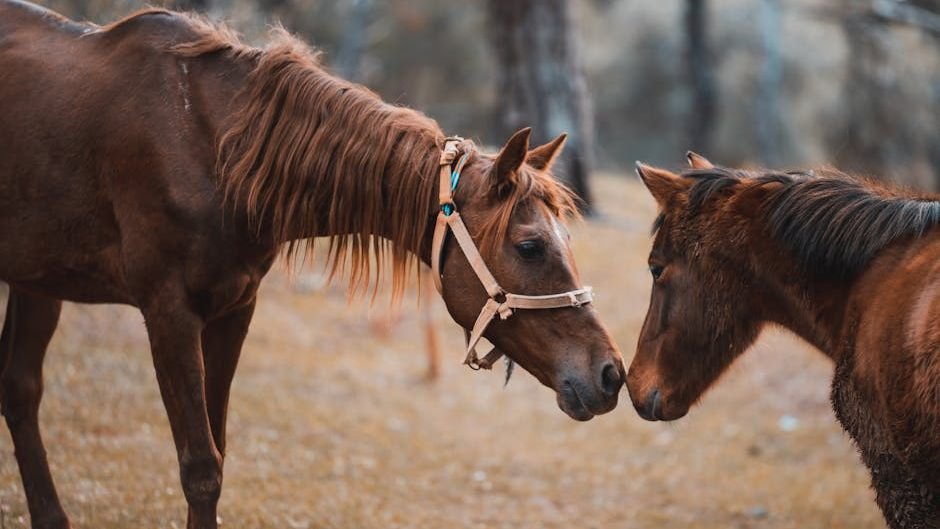8 Incredible Ways Animals Communicate That Science Is Just Discovering