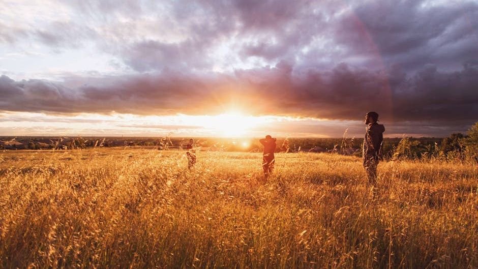 The Universe Is an Interconnected Web of Energy and Consciousness