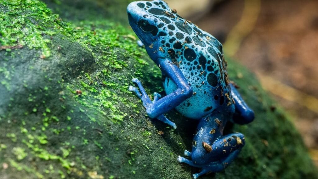 Some Endangered Species Hold Keys to Unlocking New Medical Breakthroughs