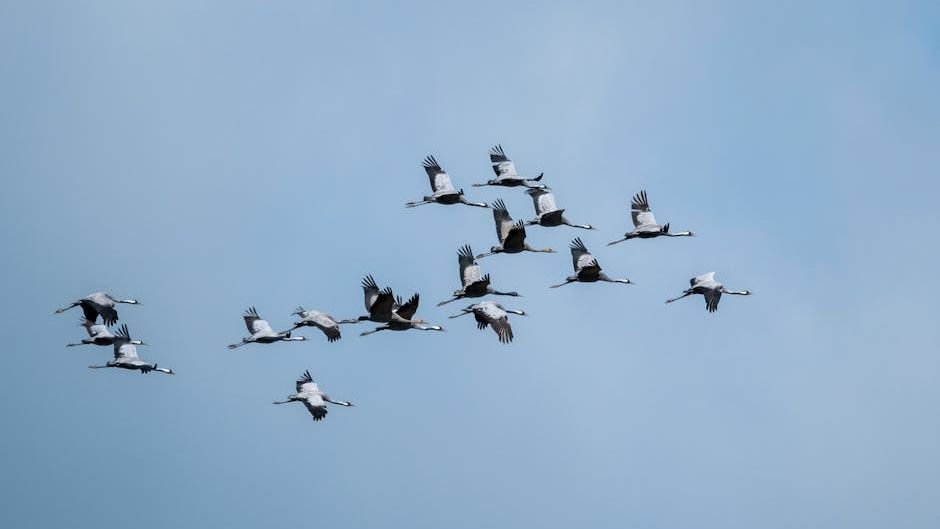 How Do Animals Navigate Across Continents Without Maps or GPS?