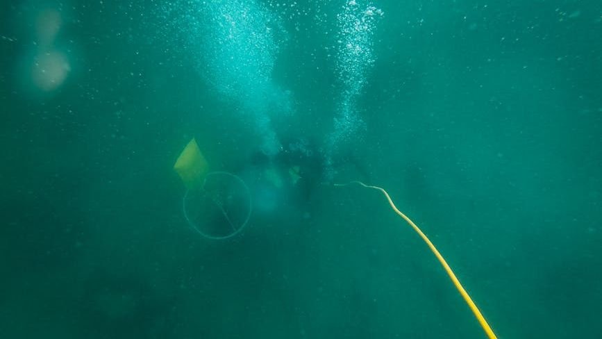 What Secrets Do the Deepest Trenches of Our Oceans Still Hold?