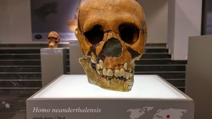 Two Neanderthals Visited The Same Siberian Cave 10,000 Years Apart - And They Were Actually Related