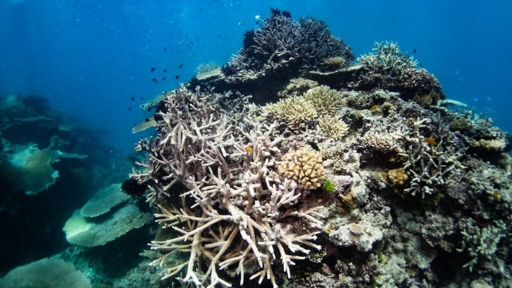 Protecting Our Waters: The Fight for America's Marine Ecosystems