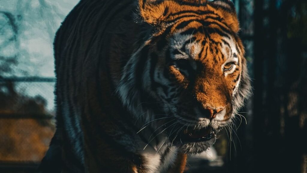 What If Animals Have Consciousness? Exploring the Minds of the Wild