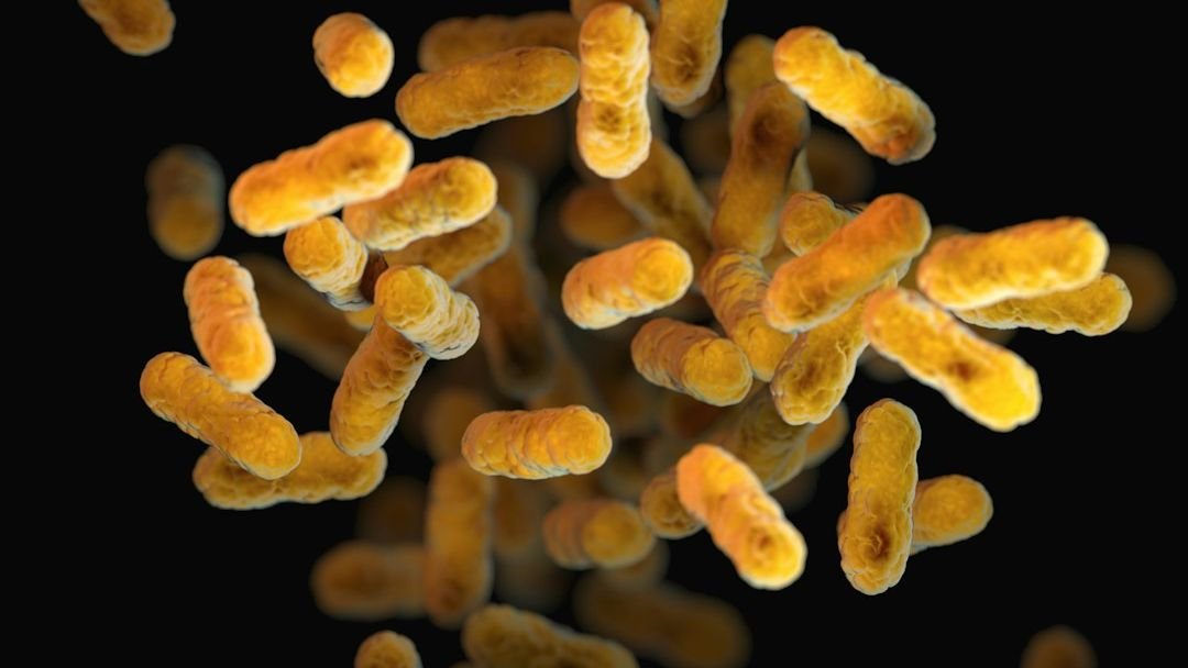 The Hidden World Within Us: How Our Gut Microbiome Affects Everything