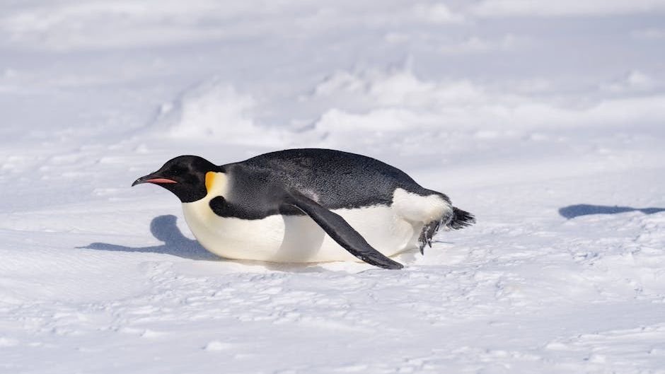 7 Amazing Adaptations That Allow Animals to Survive the Coldest Places