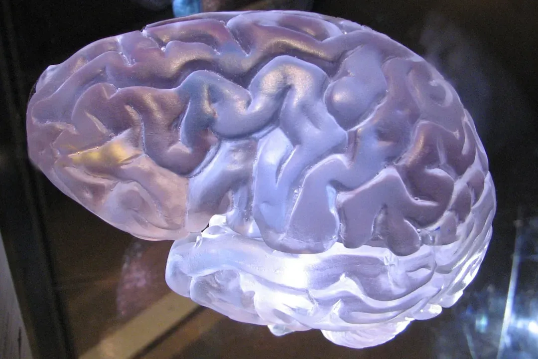 8 Amazing Discoveries About the Human Brain That Will Astound You