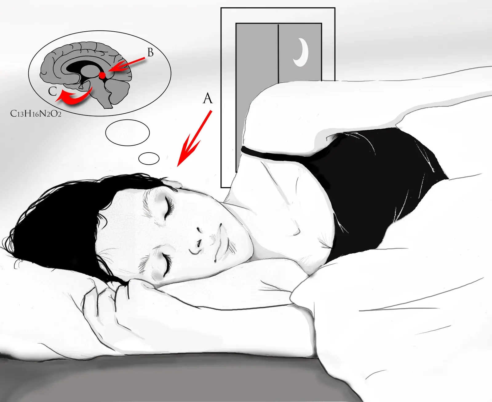 The Science of Sleep: Unveiling the Brain’s Nocturnal Activities