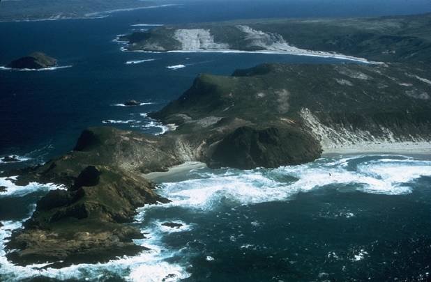 5. Channel Islands National Park, California: The American Galapagos