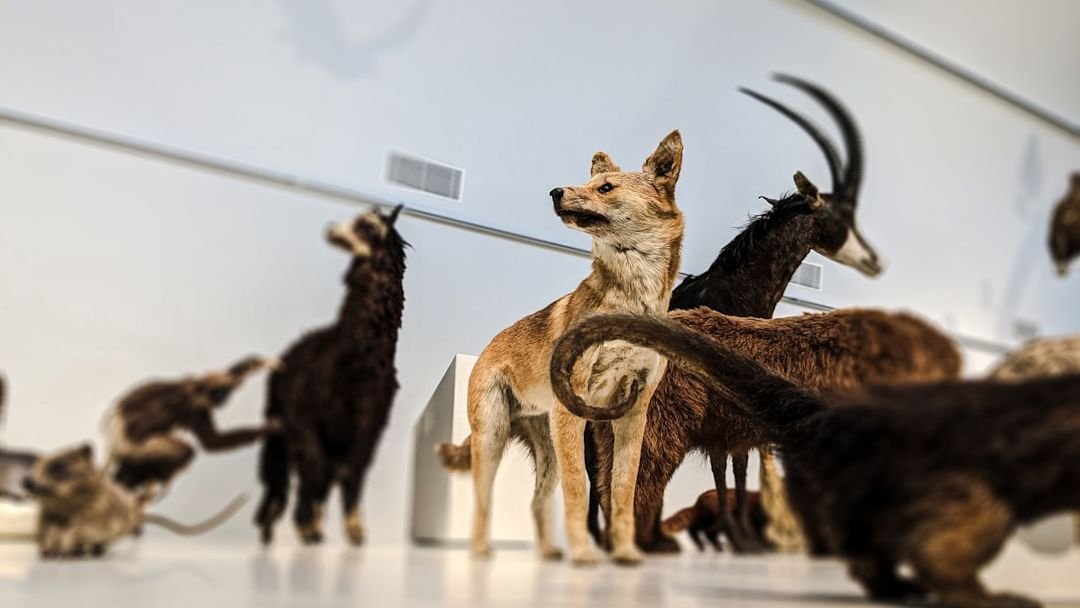 7 Creatures With Superpowers: The Most Unique Wildlife Adaptations on Earth