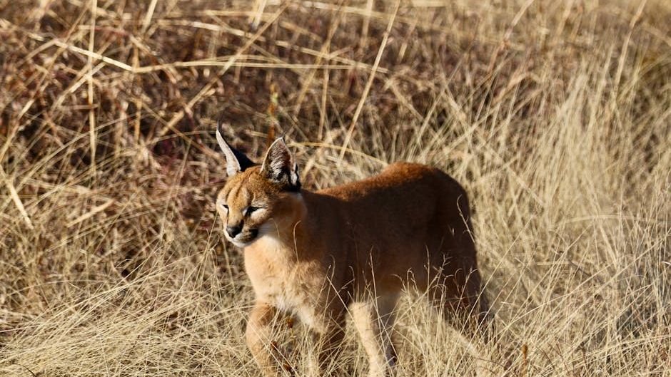 10 Unique Animals with Superpowers That Seem Like Science Fiction