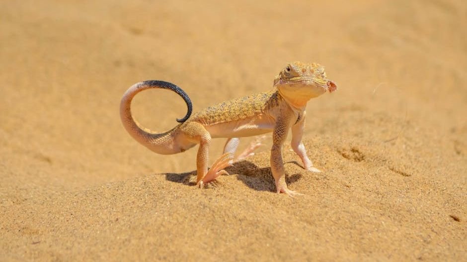 8 Incredible Adaptations That Allow Desert Creatures to Survive Extreme Heat