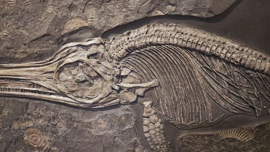 8 Unexplained Events in Earth's History That Remain a Puzzle