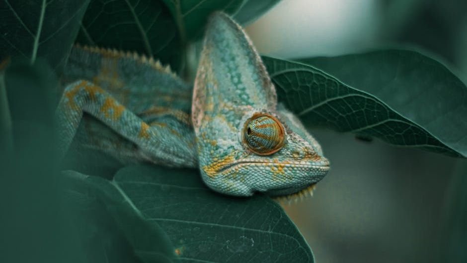 Are There Still Undiscovered Species Hiding on Earth?