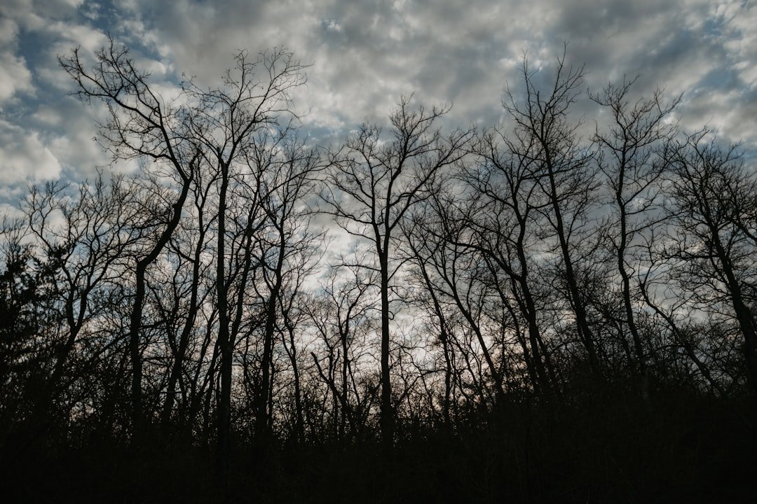 Clouds and cool temperatures continue to blanket North Texas