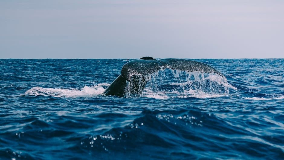 The Bizarre Rule That Explains Why Bigger Animals Live Longer But Get Cancer Less Often