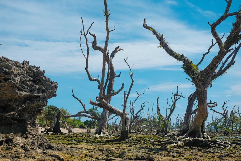 As the World Warms, Researchers Warn That Many Ecosystems Are Nearing Point of No Return