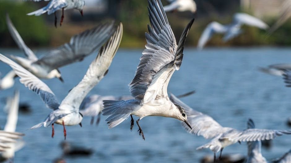 The Sixth Sense: How Animals Perceive the World Beyond Us