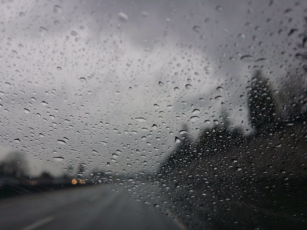 Houston weather forecast: Daily rain for the next week