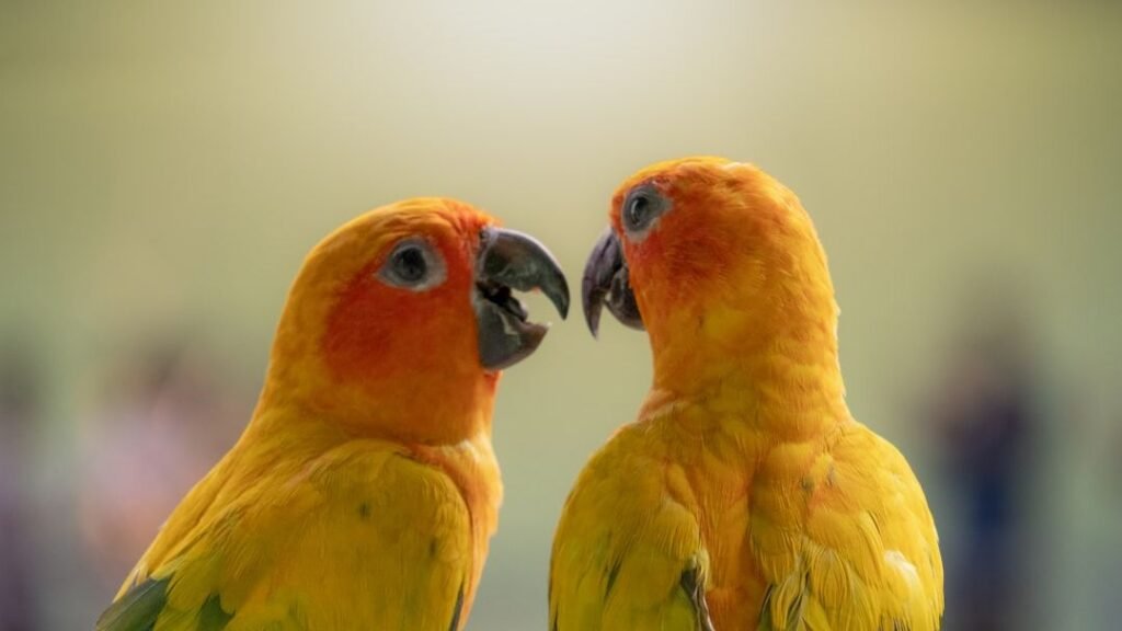 10 Remarkable Ways Animals Communicate That Will Surprise You