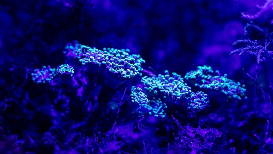 Scientists Are Engineering Plants That Glow in the Dark, and the Implications Go Far Beyond Decoration