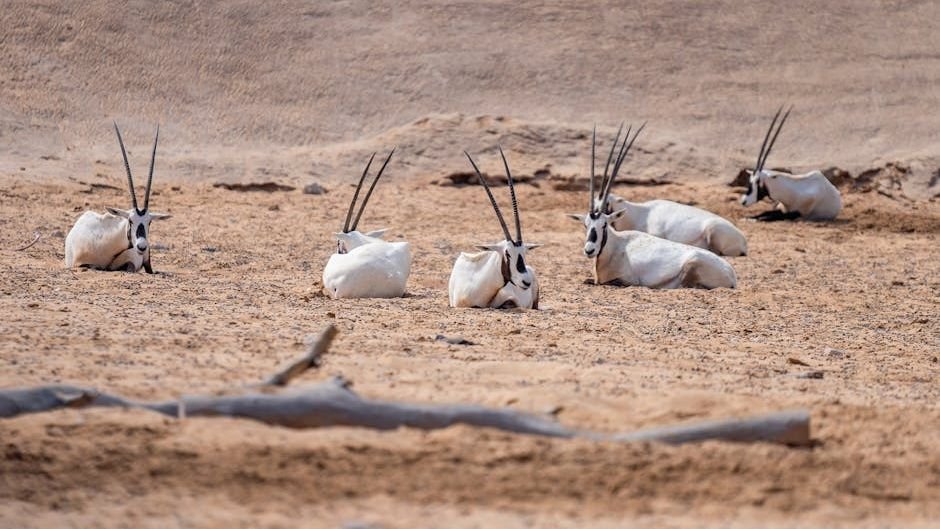 8 Incredible Adaptations: How Desert Animals Survive Extreme Heat