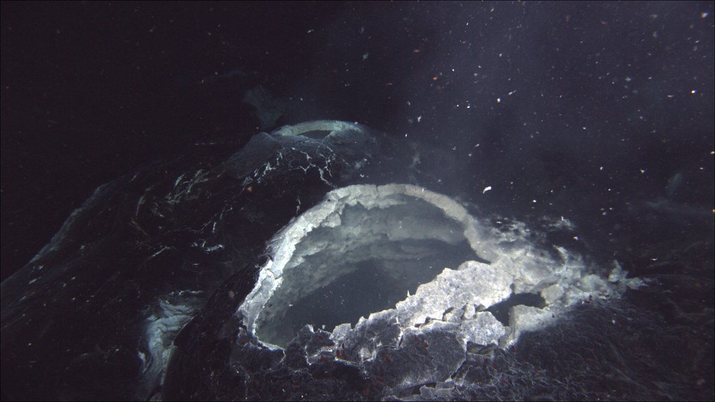 Deep Ocean Vents Host Life That Thrives Without Sunlight