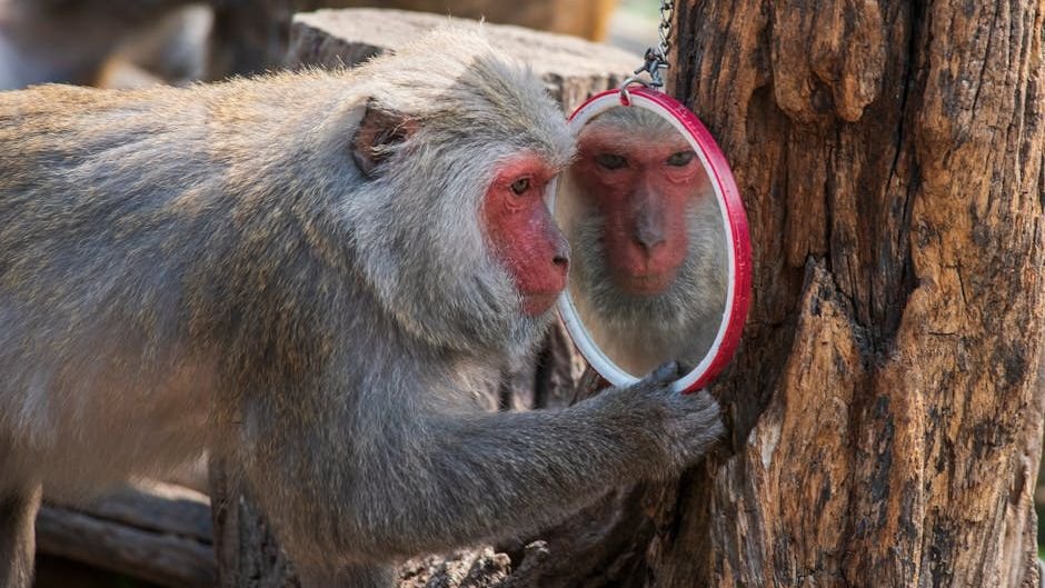 Consciousness in Animals: What Science Tells Us About Their Inner Worlds