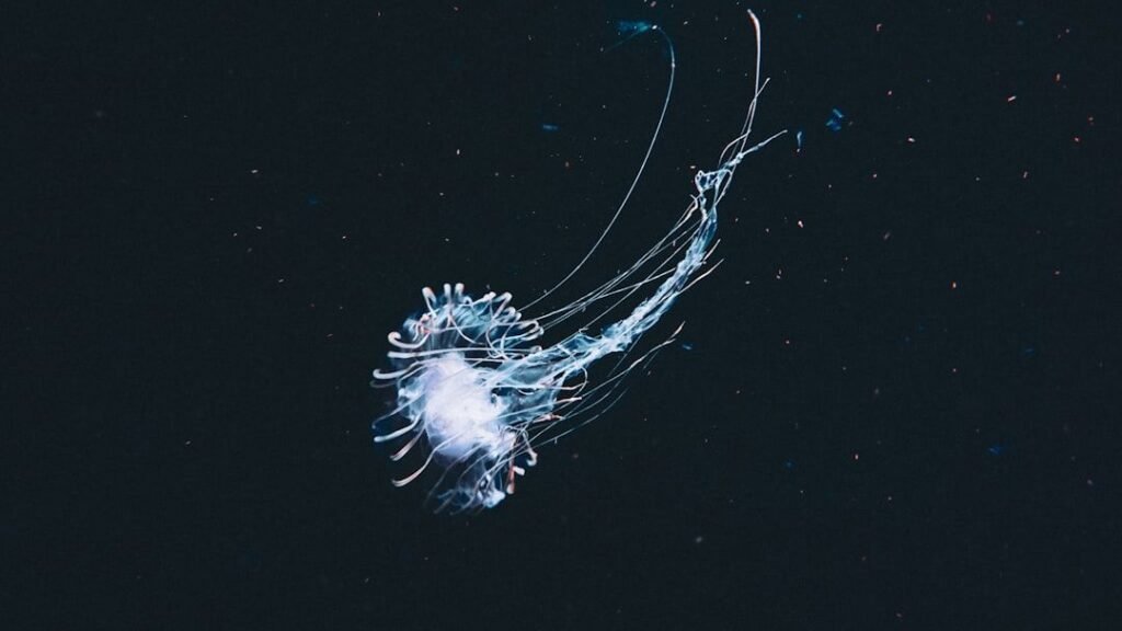 8 Bizarre Deep-Sea Creatures That Challenge Our Understanding of Life