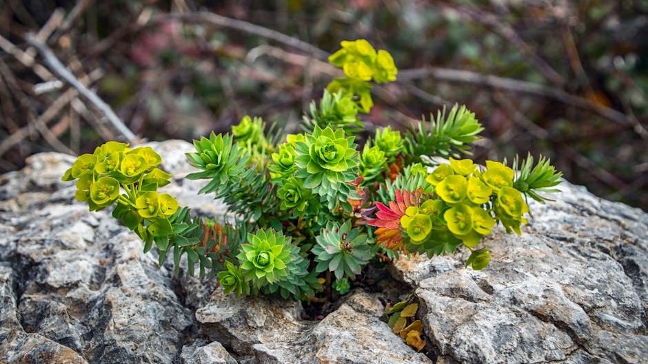 10 Fascinating Facts About the World's Most Resilient Plants