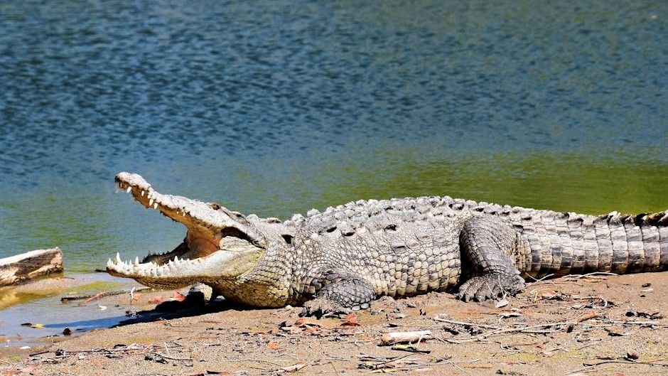 10 Animals That Have Survived Extinction Against All Odds