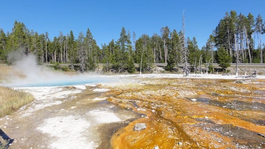 These Are the Most Extreme Environments Where Life Still Thrives