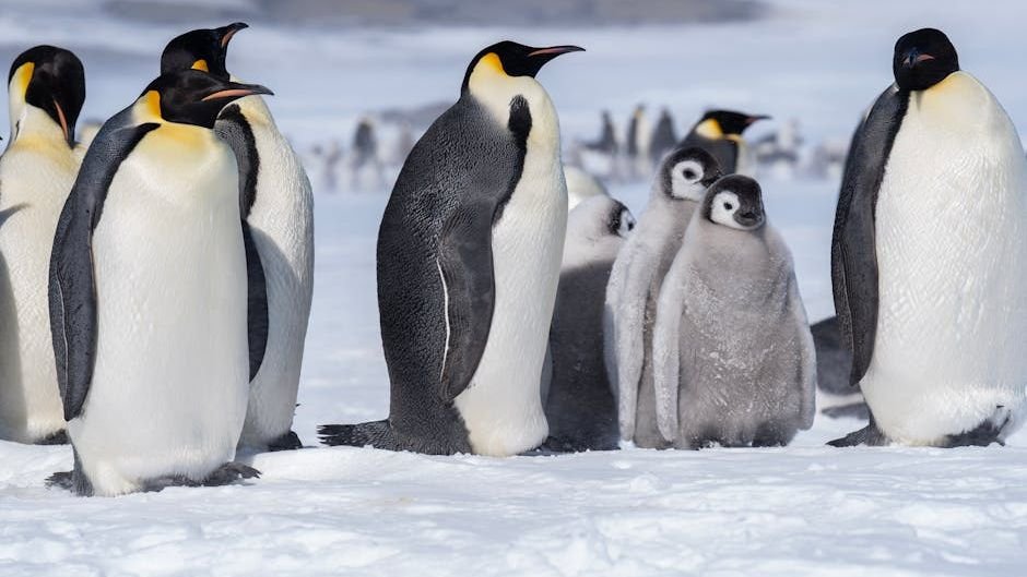 5 Rare Animals That Can Live Without Eating for Months