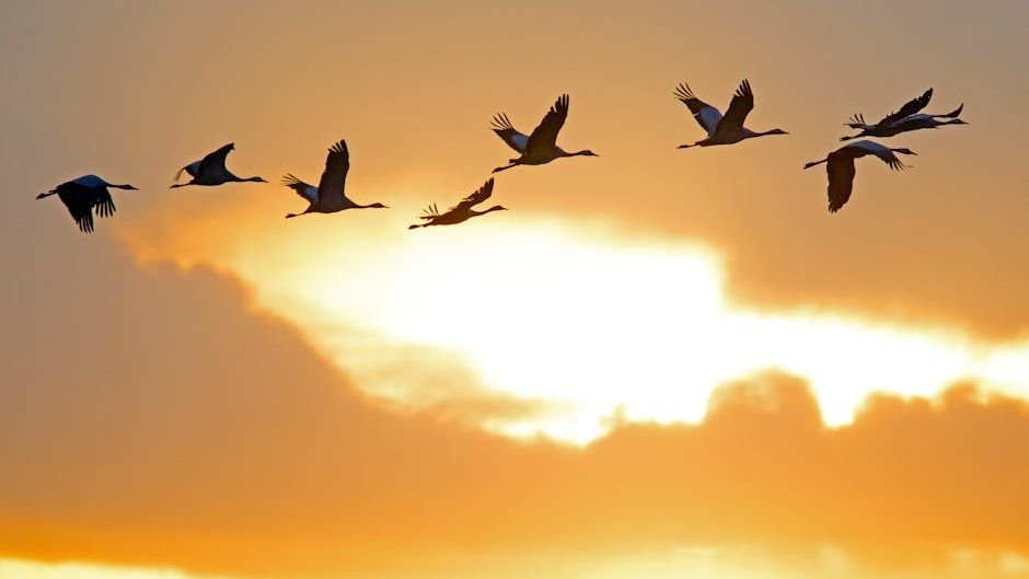 How Do Birds Know Where to Go? The Science of Animal Navigation