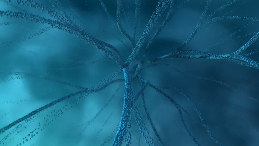 9 Astonishing Biological Processes That Power All Life on Earth