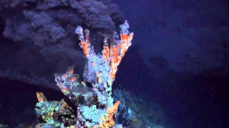 The Deep Ocean Holds Secrets That Will Reshape Our Worldview