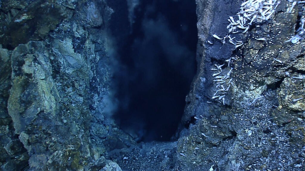 Deep Sea Vents: Where Life Thrives Without Sunlight