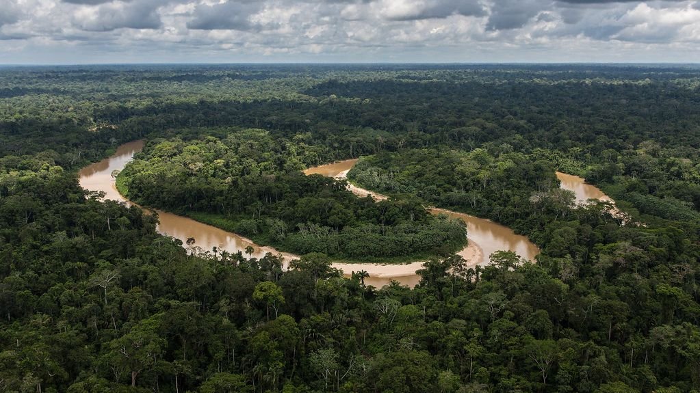 The Amazon Rainforest: Why It's Called the 'Lungs of Our Planet'