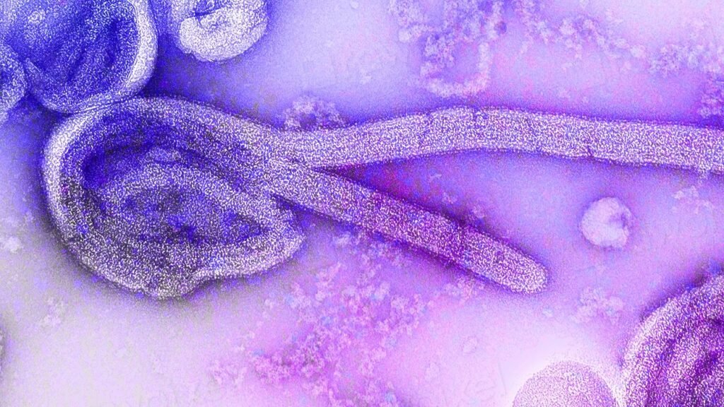 6 Scientific Theories That Changed How We See the World